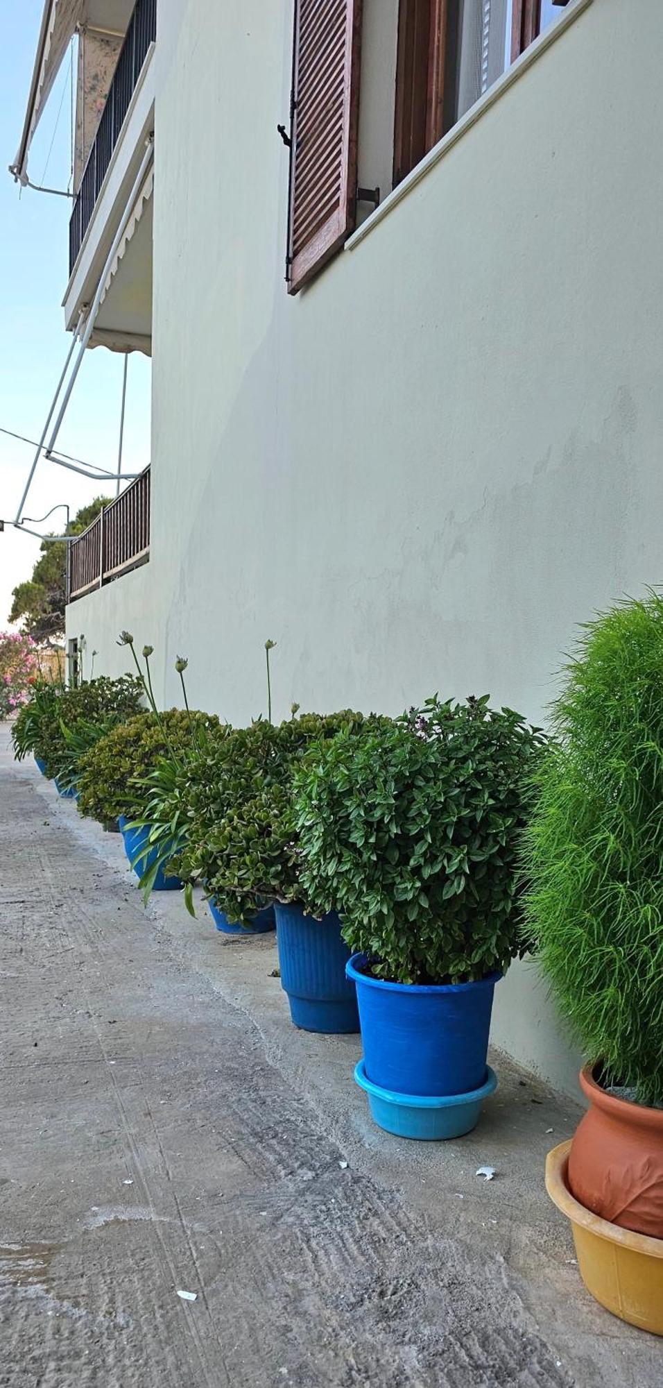 Pension Dimitra Votsi  Exteriér fotografie